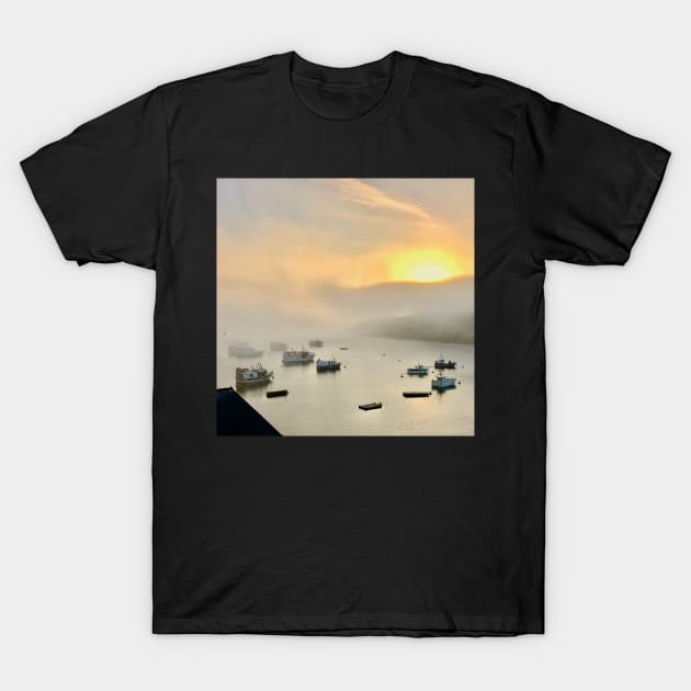 The port in the mist T-Shirt by rollier